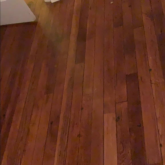 Meet your Posher, Jalen - Picture 1 of 1